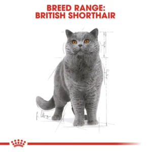 ROYAL CANIN BRITISH SHORT HAIR NARROW IN GRAVY 85G