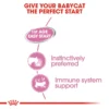 13630d81-51e8-495e-9b49-b20b002d733d_DownloadAsJpg ROYAL CANIN BABY CAT INSTINCTIVE MOUSSE 195G