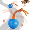 DOG BALL TOY WITH SOUND YB-TRP113-C