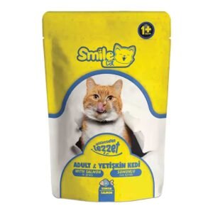 SMILE ADULT WET CAT FOOD POUCH WITH SALMON IN GRAVY 100G