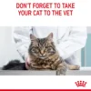 391917ce-bdae-46aa-8dca-b2490007bba8_DownloadAsJpg ROYAL CANIN CARE HAIR & SKIN 2KG DRY FOOD