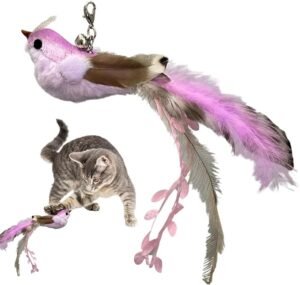 61lEggaS5OL._AC_SX679_ CAT TOY BIRDS HEAD (D15xH26CM) WPS236
