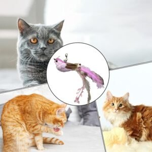 71TsAOf0vkL._AC_SX679_ CAT TOY BIRDS HEAD (D15xH26CM) WPS236