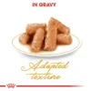 ROYAL CANIN BRITISH SHORT HAIR NARROW IN GRAVY 85G