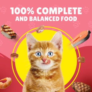 FRISKEIS JONIOR CHICKEN IN GRAVY POUCH 85G 206015