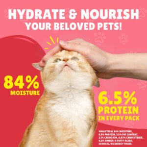 FRISKEIS JONIOR CHICKEN IN GRAVY POUCH 85G 206015