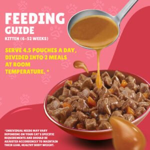 FRISKEIS JONIOR CHICKEN IN GRAVY POUCH 85G 206015