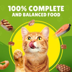 9916-friskiesr-chicken-gravy-02-teaser.jpg FRISKEIS CAT CHICKEN IN GRAVY POUCH 85G 206016