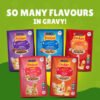 9916-friskiesr-chicken-gravy-07-teaser.jpg FRISKEIS CAT CHICKEN IN GRAVY POUCH 85G 206016