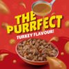 FRISKEIS CAT TURKEY IN GRAVY POUCH 85G 206012