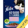 FELIX CAT TROUT & GRN BEANS IN JELLY POUCH 85G 206203