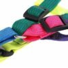 LEASH+HARNESS 1.5CM RAINBOW COLOR JC-044M