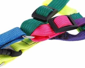LEASH+HARNESS 1.5CM RAINBOW COLOR JC-044M