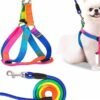 LEASH+HARNESS 1.5CM RAINBOW COLOR JC-044M