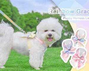 LEASH+ HARNESS 1.5CM WANJIACHONG JC-011