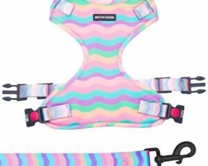 LEASH +HASRNESS 1.0CM RAINBOW COLOR JC-044