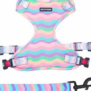 LEASH +HASRNESS 1.0CM RAINBOW COLOR JC-044