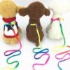 LEASH +HASRNESS 1.0CM RAINBOW COLOR JC-044