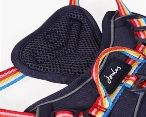 LEASH+HARNESS 1.5CM RAINBOW COLOR JC-044M
