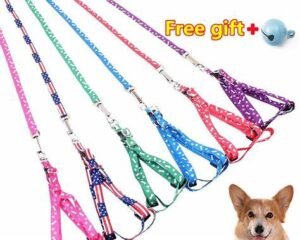 LEASH+HARNESS 1.0CM WANJIACHONG BARE FACE