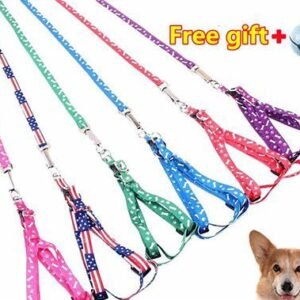 LEASH+HARNESS 1.0CM WANJIACHONG BARE FACE