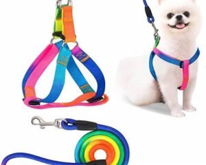 LEASH+HARNESS 1.5CM RAINBOW COLOR JC-044M