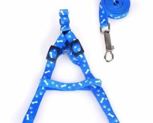 LEASH+HARNESS 1.0CM WANJIACHONG BARE FACE