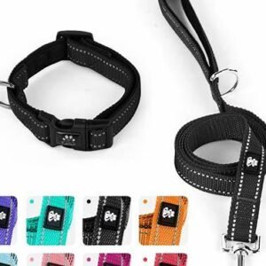 LEASH+COLLAR 1.0CM WANJIACHONG JC-002