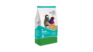 Untitled design - 2026-05-21T110136.316 INTERNUTRI EXOTIC FOR BIRDS 1KG