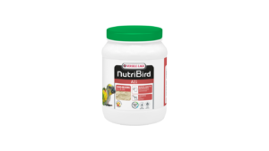 Untitled design - 2026-05-21T111156.807 VERSELE-LAGA NUTRIBIRD A21