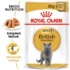 ROYAL CANIN BRITISH SHORT HAIR NARROW IN GRAVY 85G