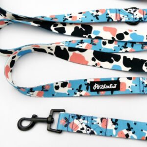 LEASH+HARNESS 2.5CM DOTTED