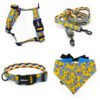 LEASH+HARNESS 2CM DOTTED