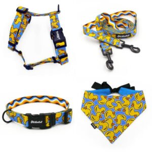 LEASH+HARNESS 2CM DOTTED
