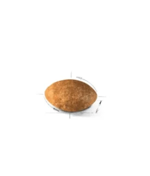 ROYAL CANIN CAT PERSIAN ADULT 400G